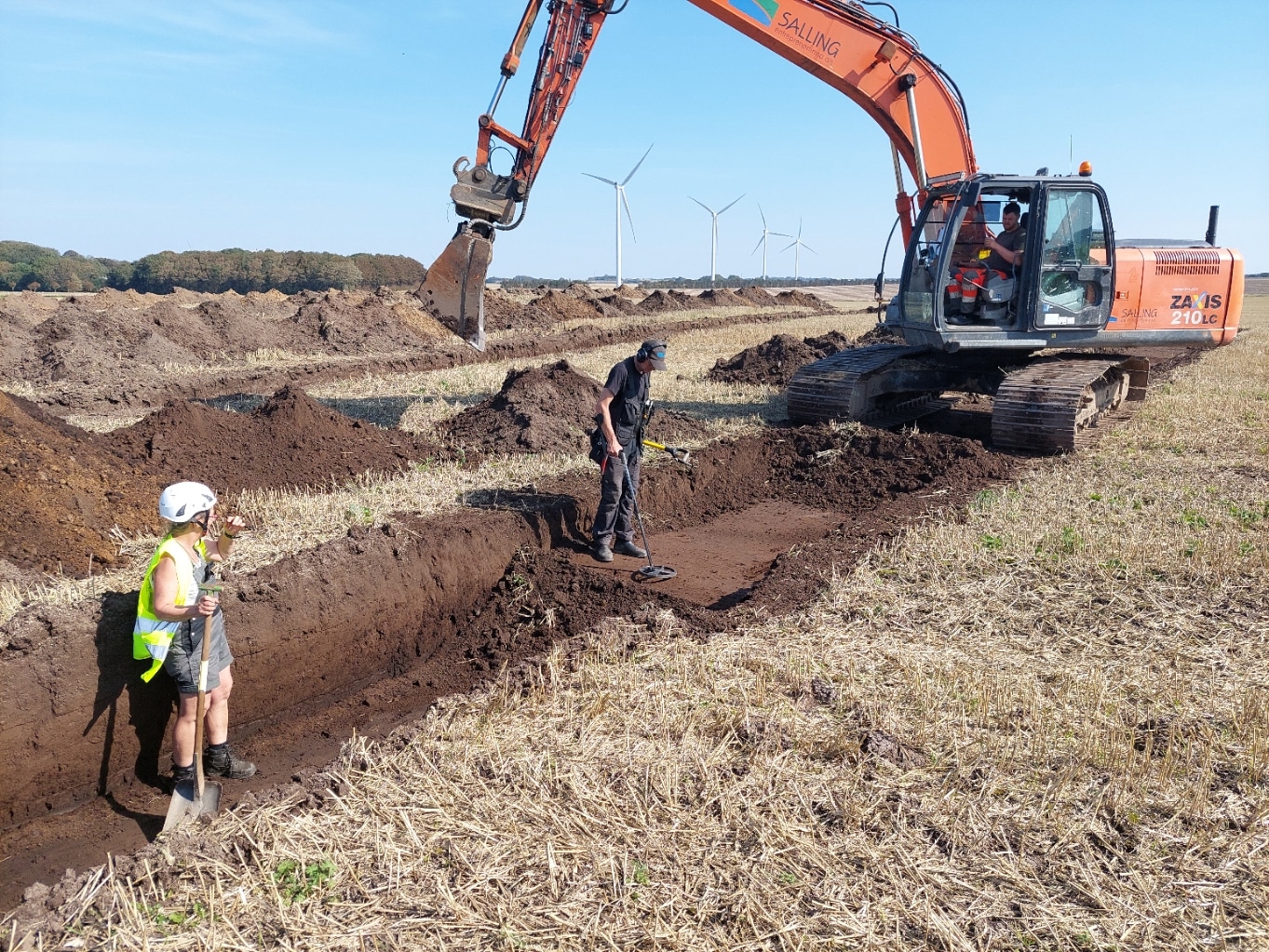 Team Leader for Archaeology